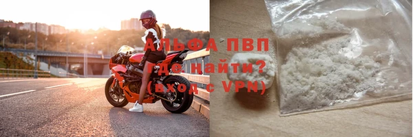 сатива Верея