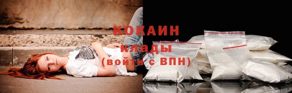 стаф Семилуки
