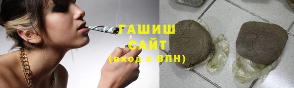 стаф Семилуки