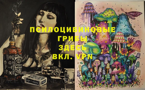 соль ск Вязьма