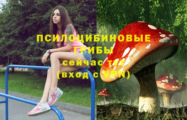 сатива Верея