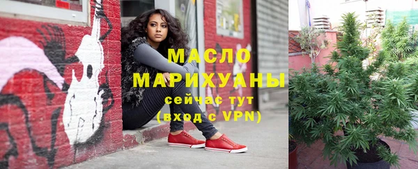 сатива Верея