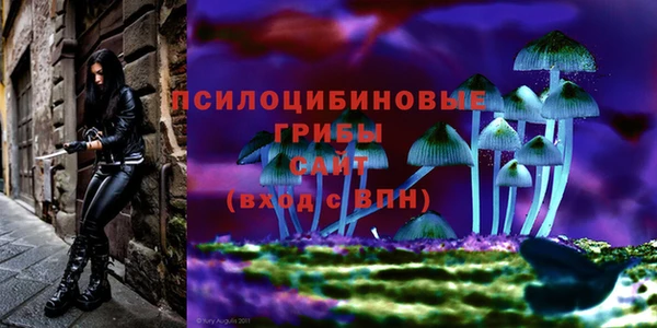 дурь Вязники