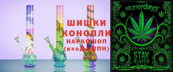 стаф Семилуки
