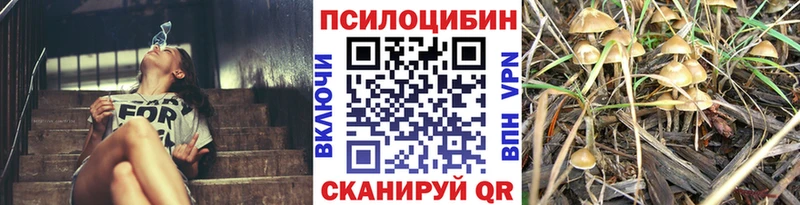 Галлюциногенные грибы Cubensis  где можно купить   Жигулёвск 